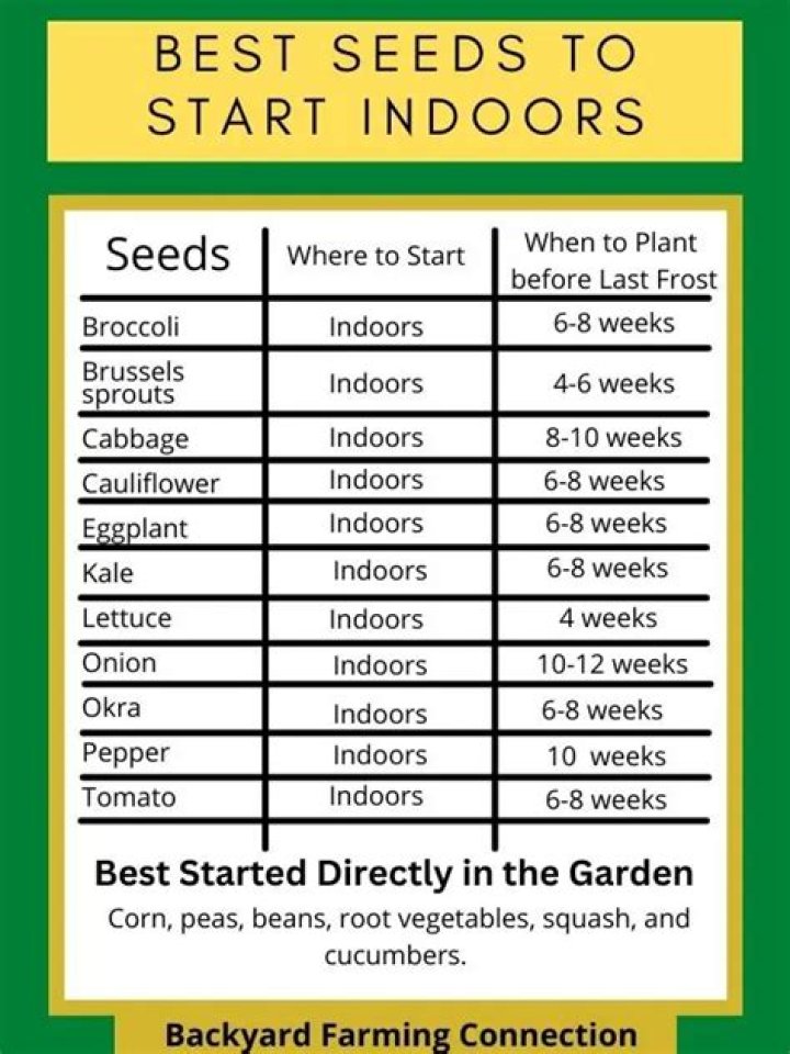 What seeds should I start indoors now