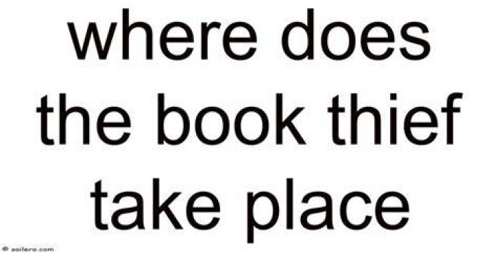 Where does the book Bruiser take place